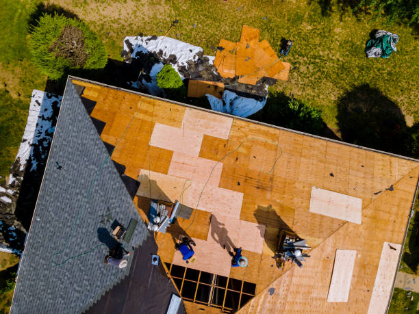 Best Flat Roof Repair Services  in Ridgewood, IL